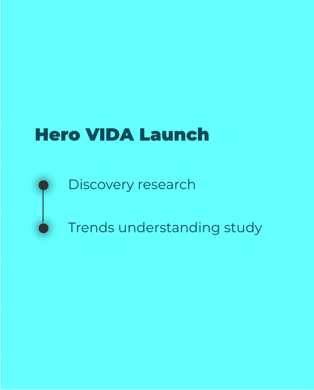 VIDA project visual (back)